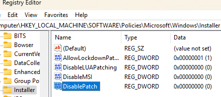 Параметры реестра DisablePatch и DisableMSI
