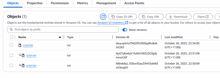 Что означает маркер/иконка «L» в файле S3? Значит ли это «последний»?