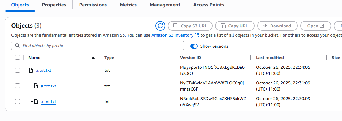 Что означает маркер/иконка «L» в файле S3? Это значит «последний»?