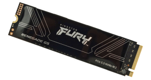 Kingston Fury Renegade G5